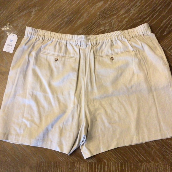 Time And Tru Womens Plus Size Beige Linen Blend Pleated 5” Shorts Size XXXL (22) - Picture 7 of 10